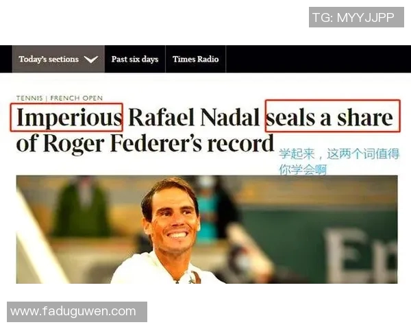 法国7号足球明星的辉煌历程与传奇瞬间揭秘